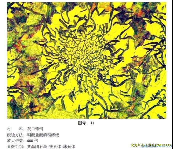 微信图片_20201022080237.jpg