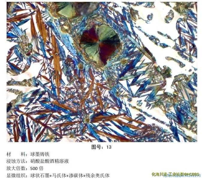 微信图片_20201022080244.webp