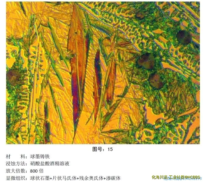 微信图片_20201022080252.webp