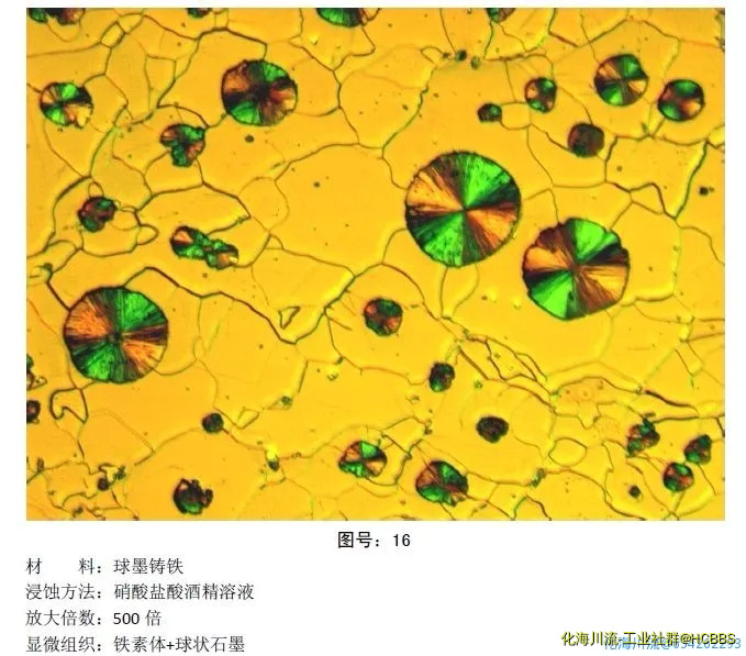 微信图片_20201022080255.webp