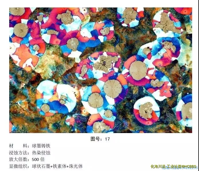 微信图片_20201022080300.webp