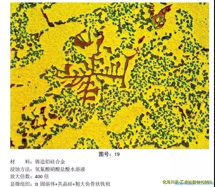 微信图片_20201022080308.jpg