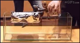 比重比空气还大的六氟化硫，友谊的小船说沉就沉.gif