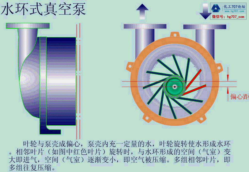 水环式真空泵.gif