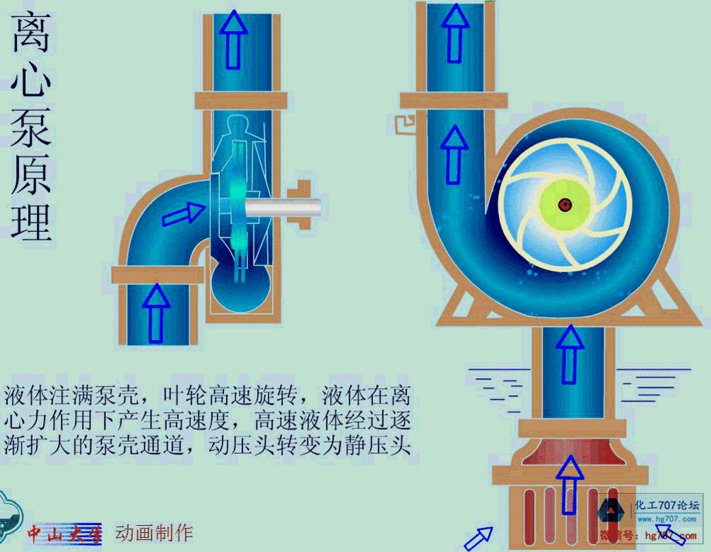 离心泵原理.gif