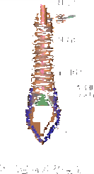 XLK型旋风除尘器.gif