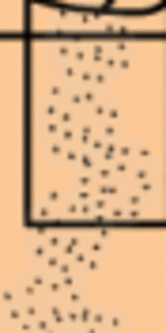 气体在旋风分离器内的运动情况.gif