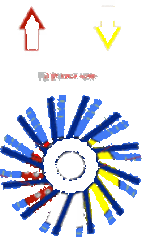 【水环式真空泵】1.gif