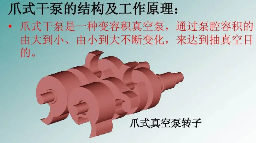 爪式真空泵.webp