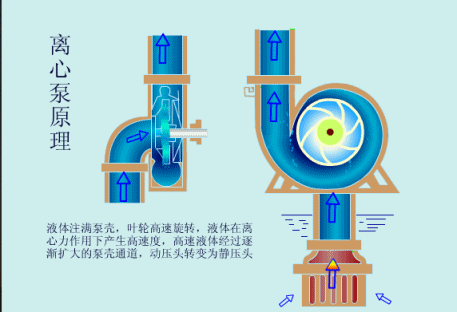 离心泵原理.gif