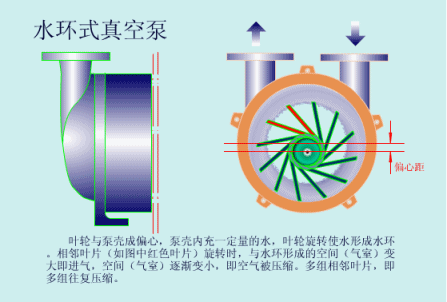 水环式真空泵.gif