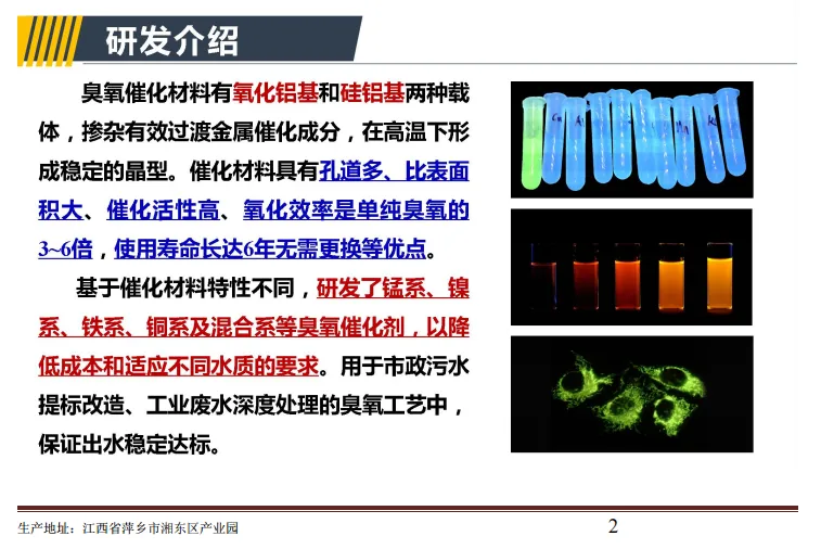 1.webp