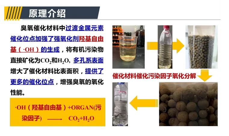 2.webp