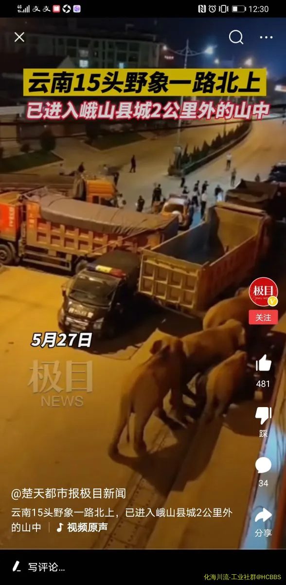Screenshot_20210529_003059_com.ss.android.article.news.webp