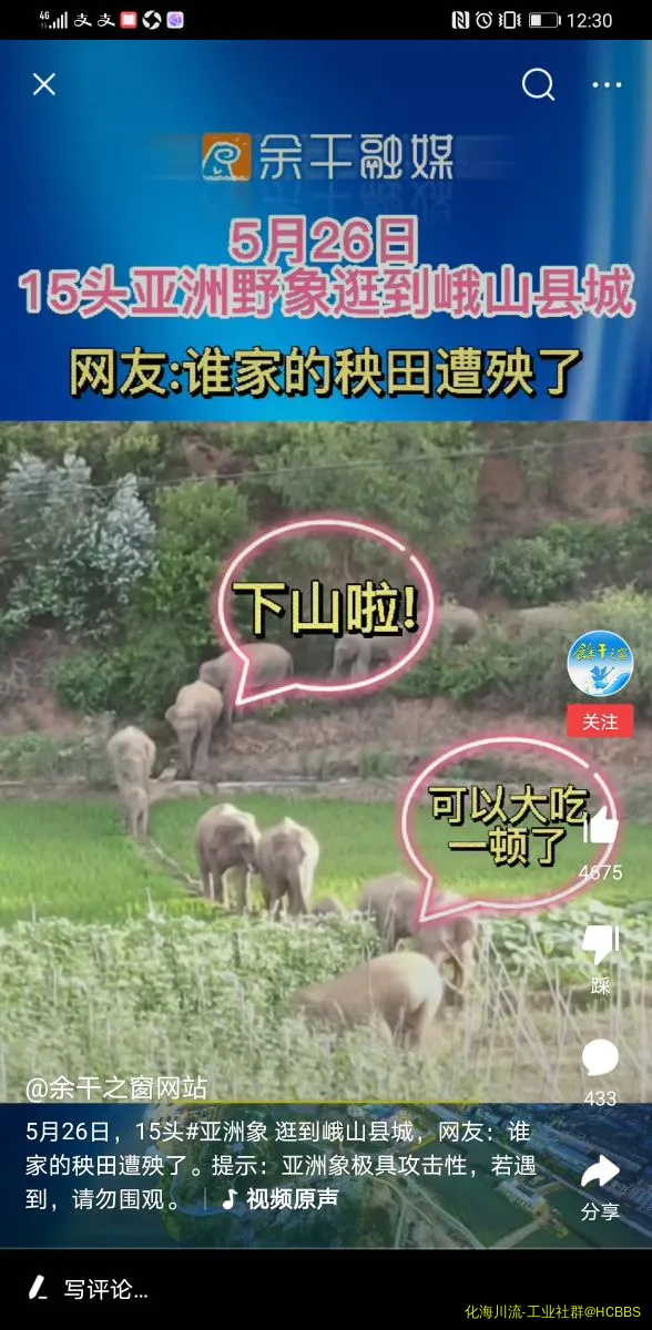 Screenshot_20210529_003055_com.ss.android.article.news.webp