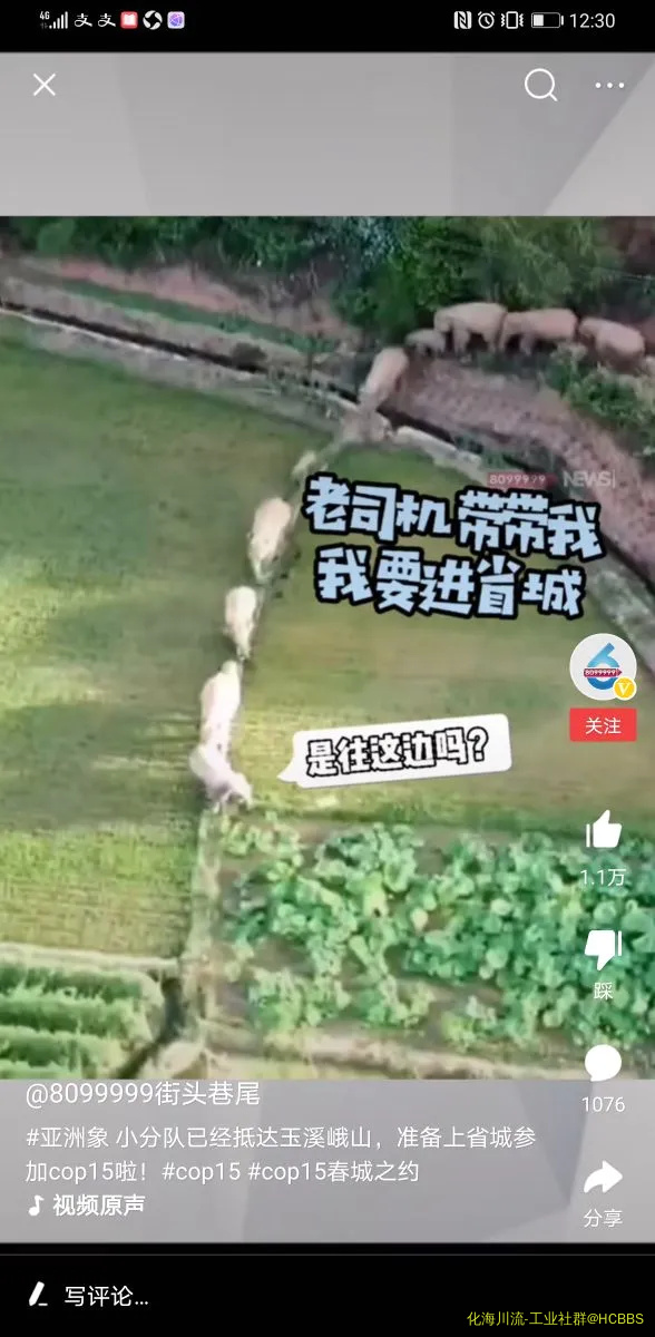Screenshot_20210529_003031_com.ss.android.article.news.webp