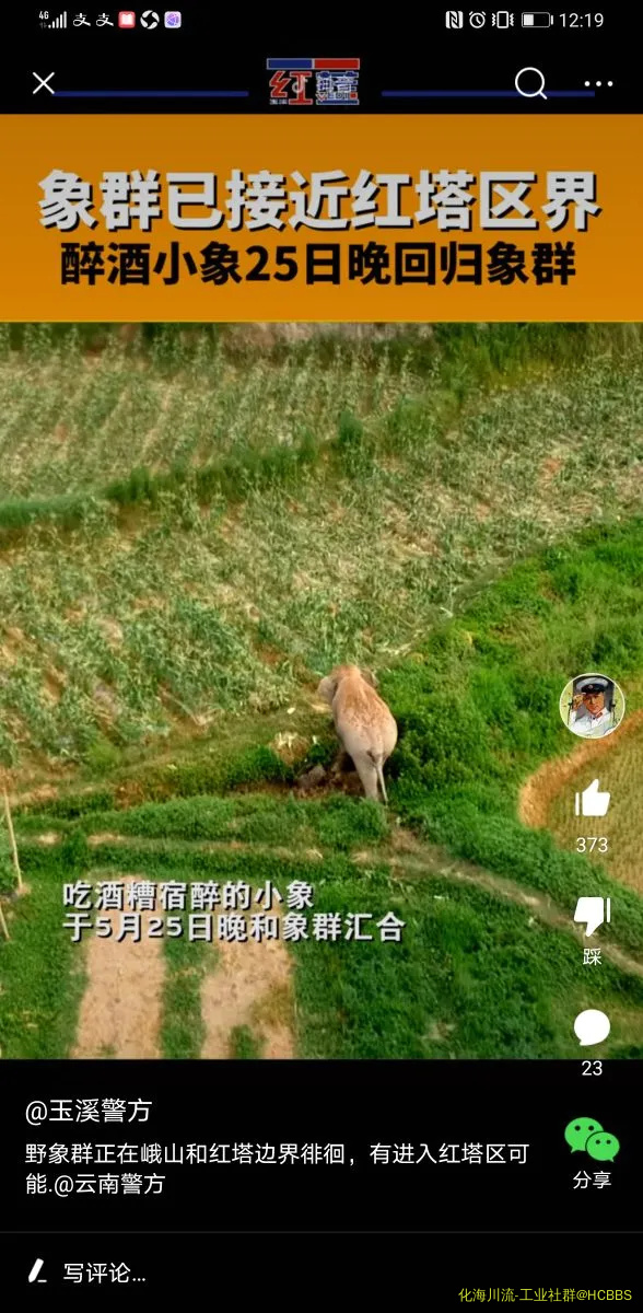 Screenshot_20210529_001944_com.ss.android.article.news.webp