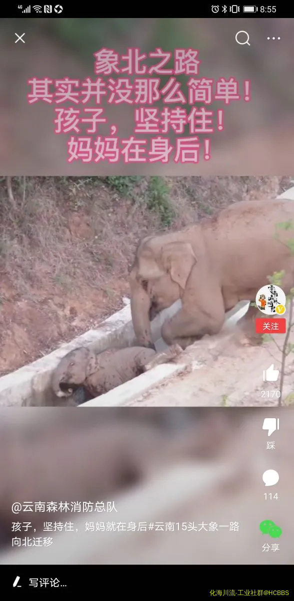 Screenshot_20210530_205530_com.ss.android.article.news.webp