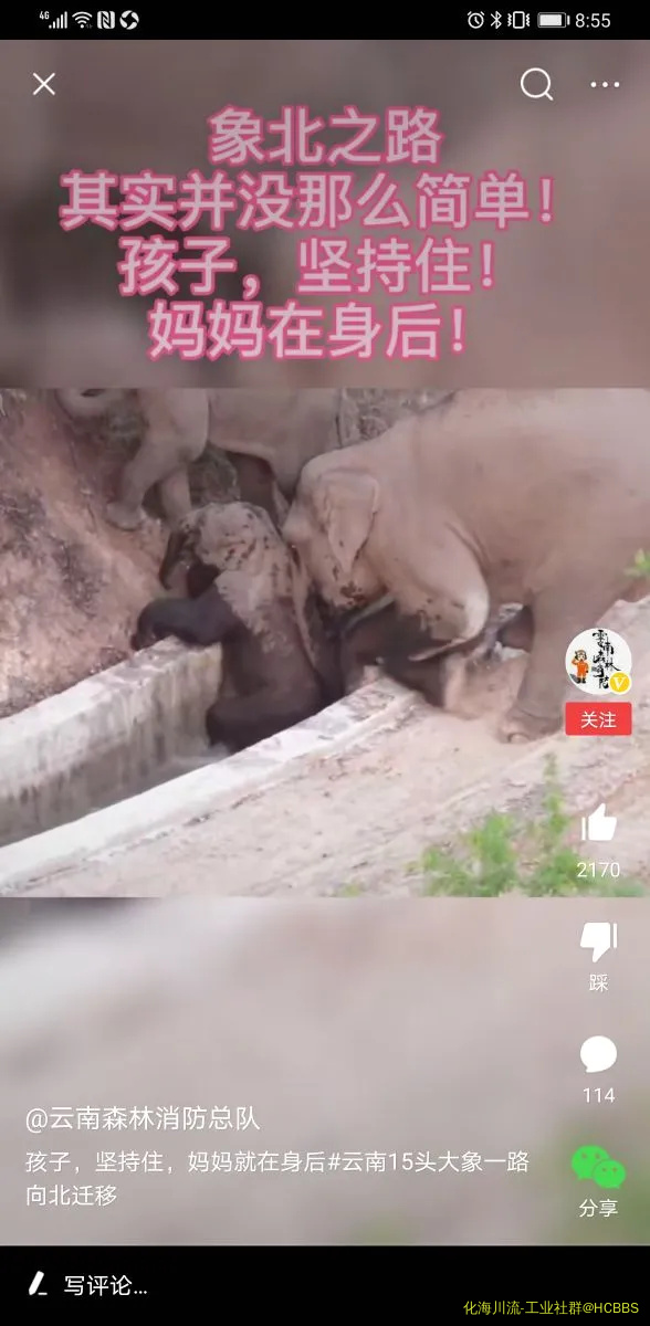 Screenshot_20210530_205537_com.ss.android.article.news.webp