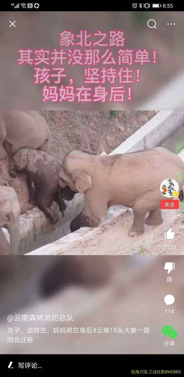 Screenshot_20210530_205559_com.ss.android.article.news.webp
