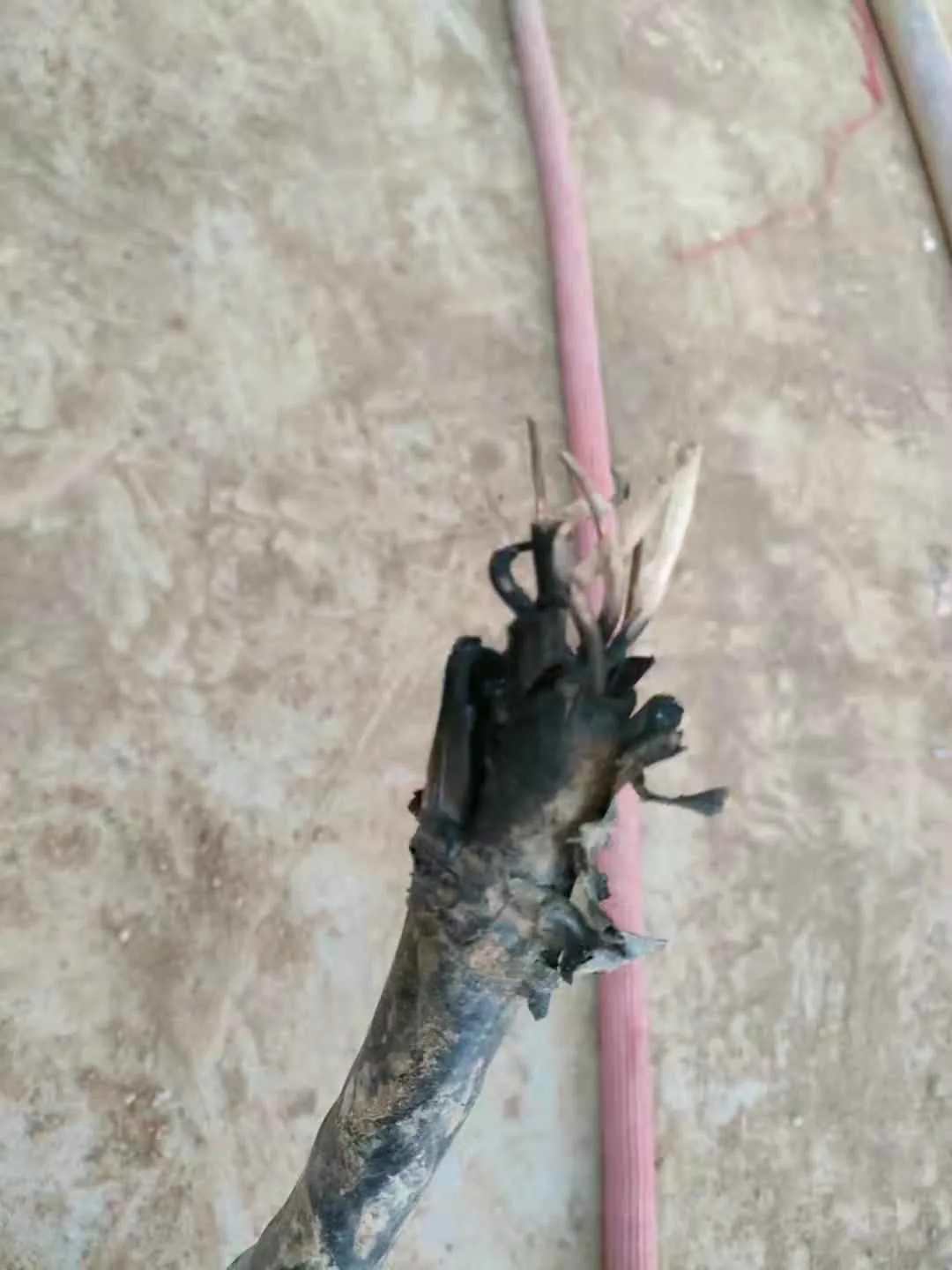 微信图片_20210709131855.webp