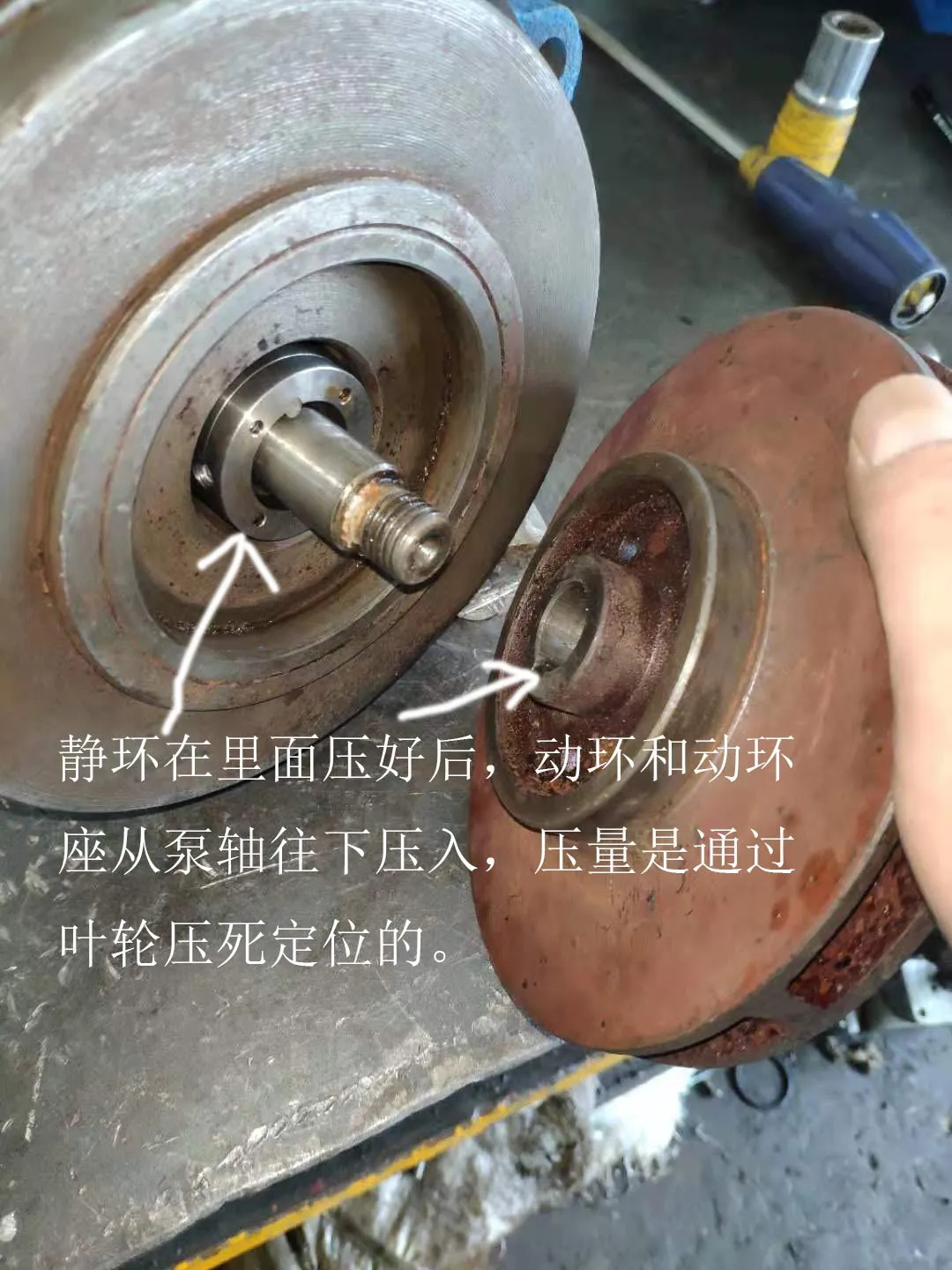 动环和叶轮