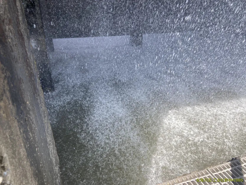 202107/17/6838a19d5485d69b991cadc4673e6351.webp