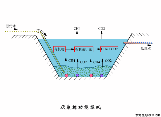 厌氧塘.gif