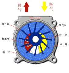 水环式真空泵1.gif