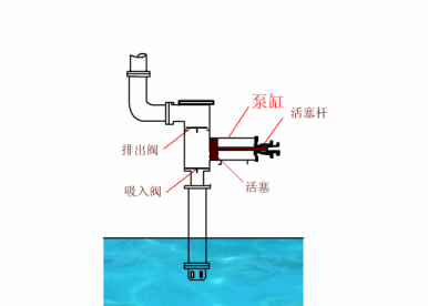 往复泵的结构.gif