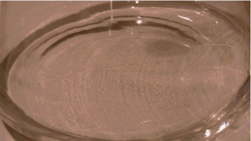血液和过氧化氢.gif