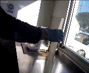大象牙膏1.gif