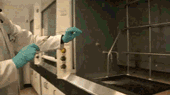 锌火1.gif