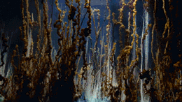 水下花园.gif