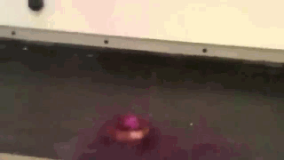 碘铝反应.gif