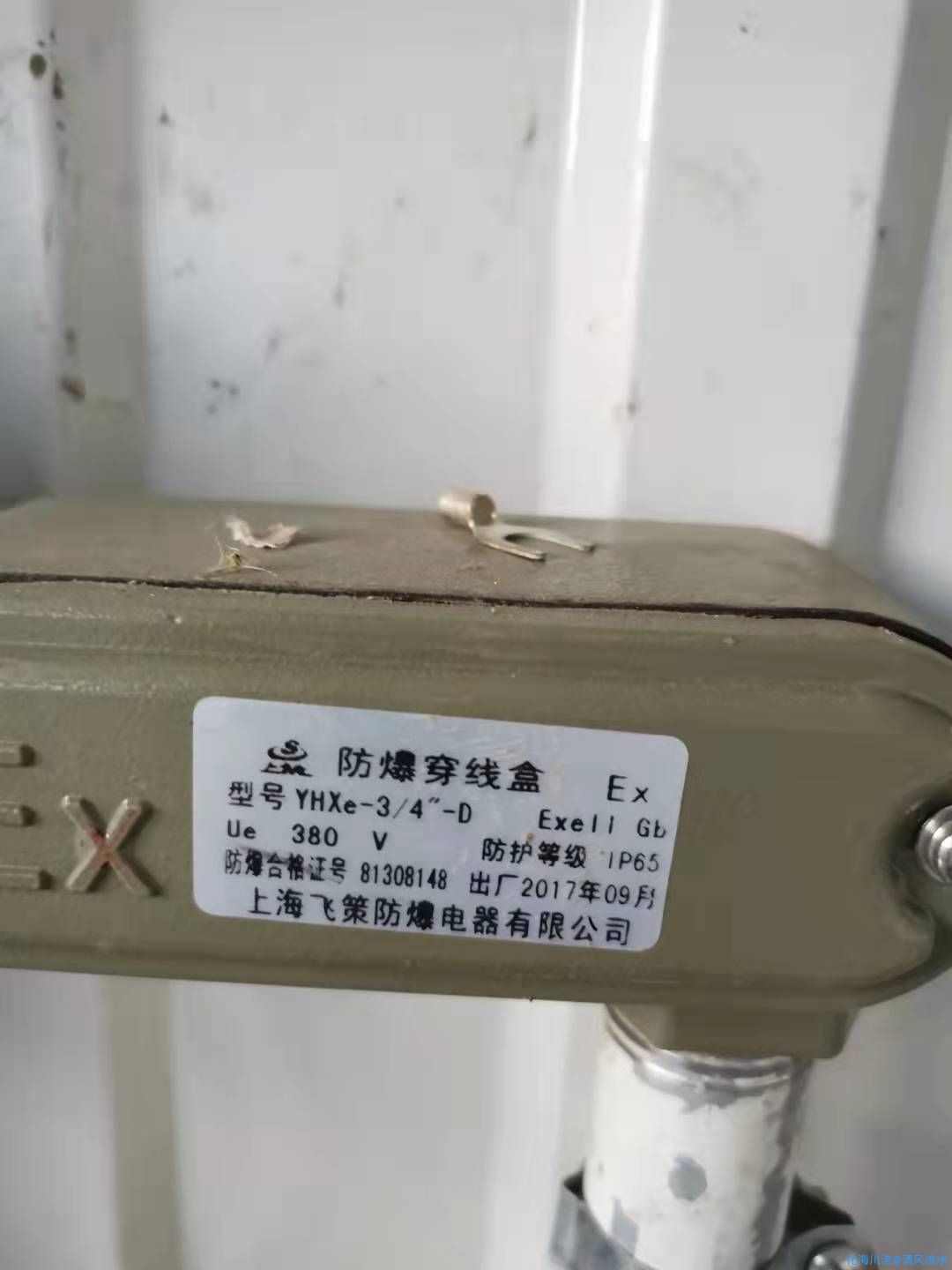 1777cf644961cc0ea4918eef97496af.jpg