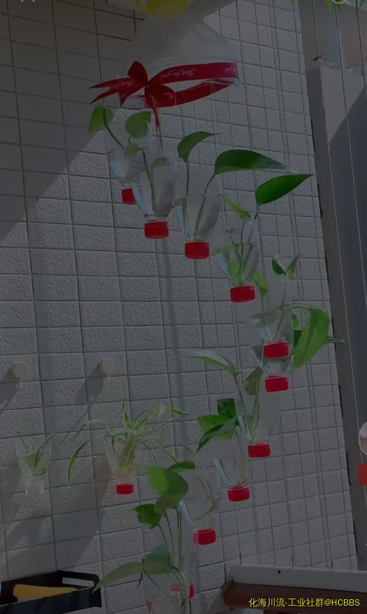 Screenshot_20211205_111421.jpg