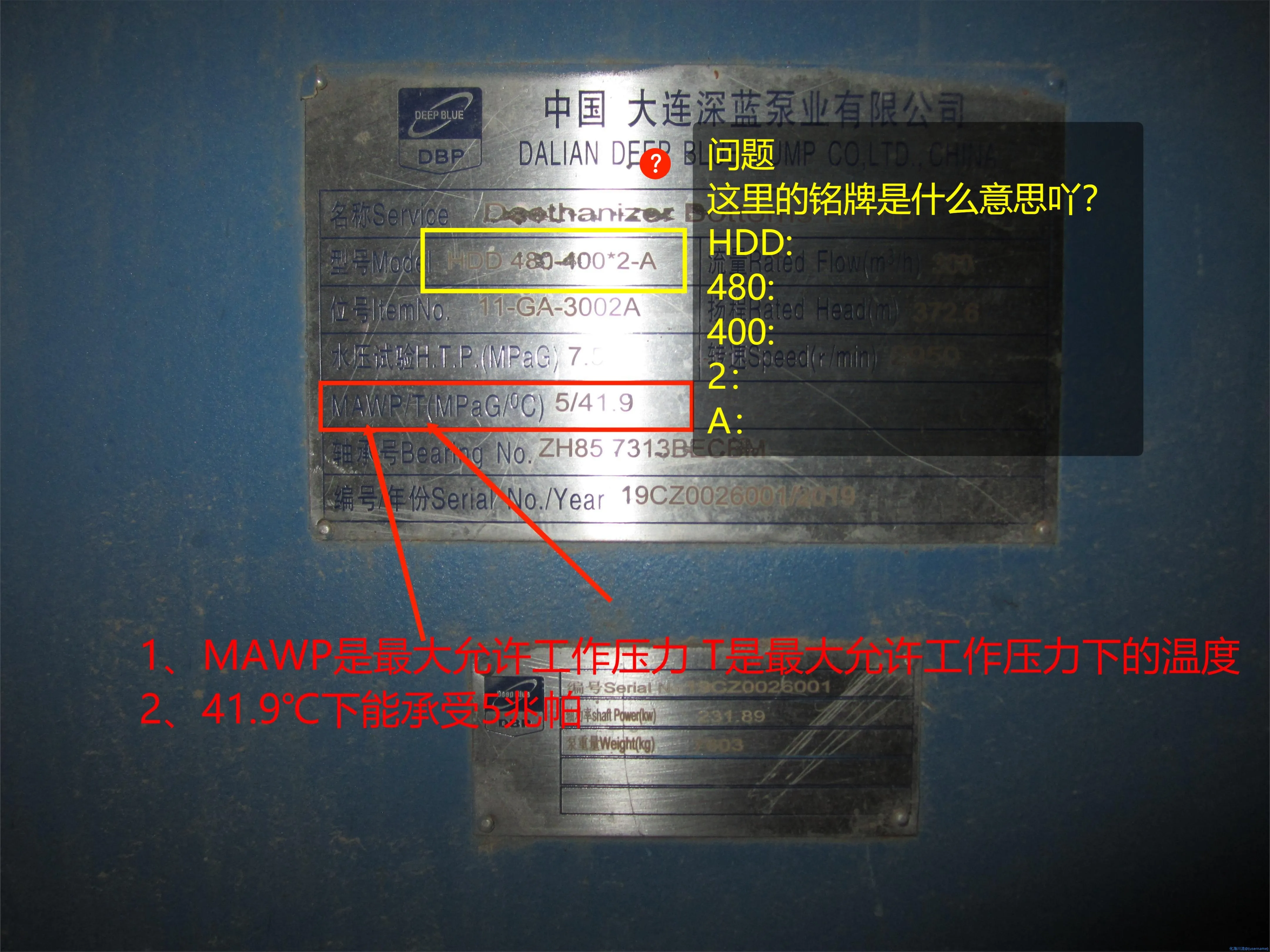IMG_2126(1).webp