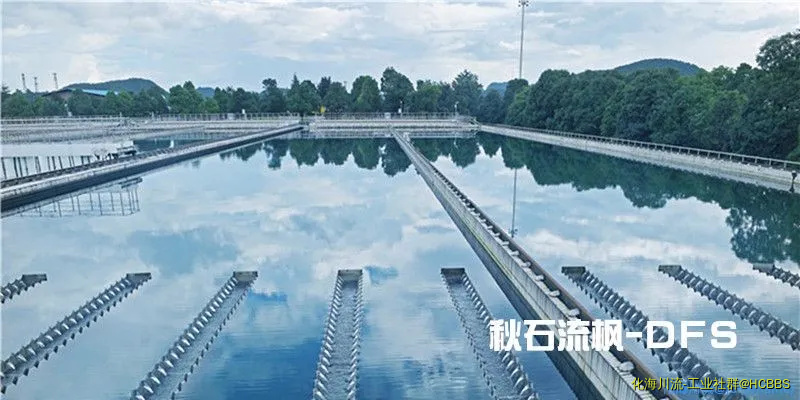 qingshuichhi003_副本_副本.webp