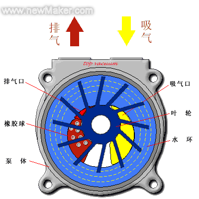 水环式真空泵▼.gif