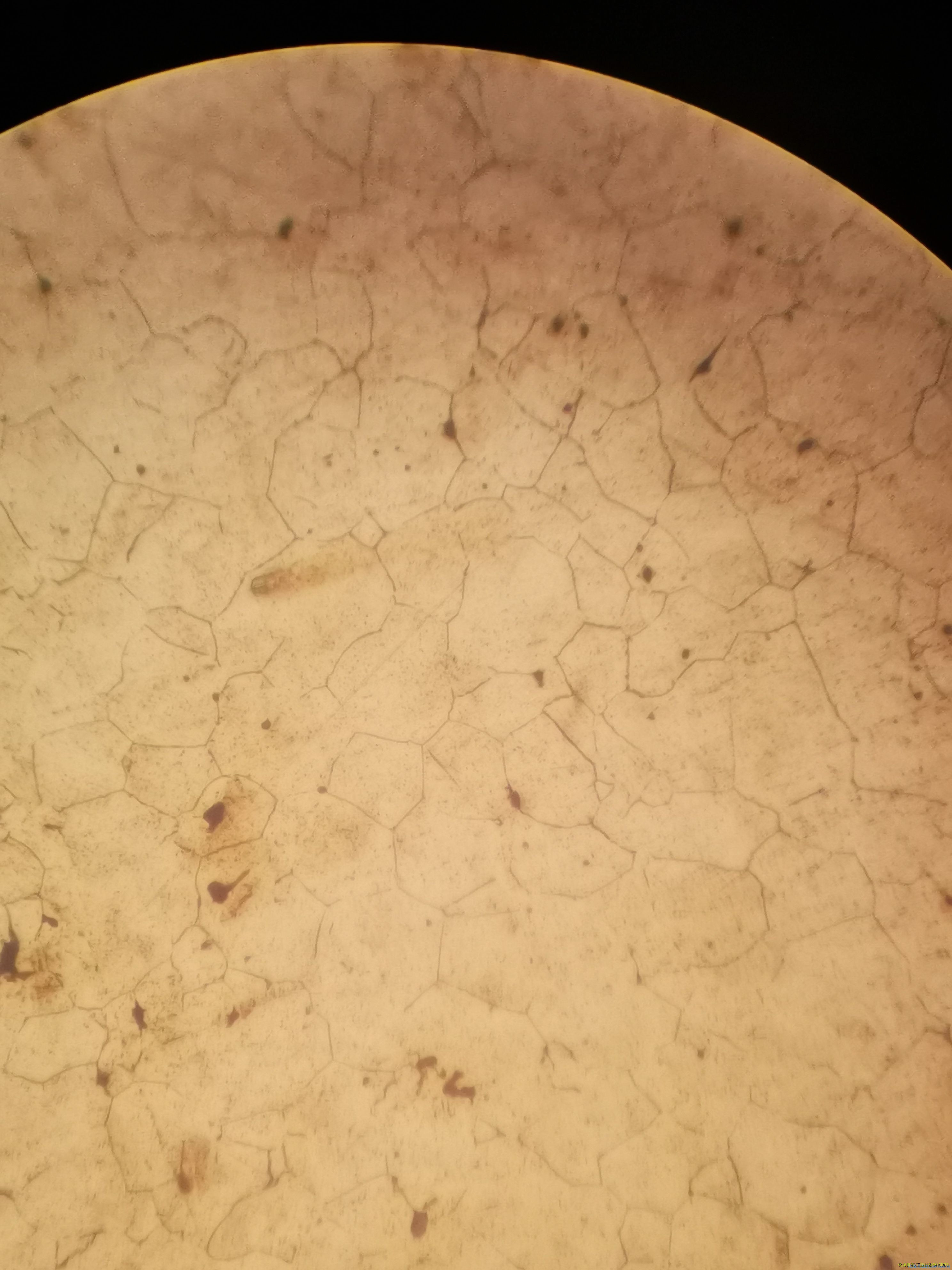 未氢脆试验304金相
