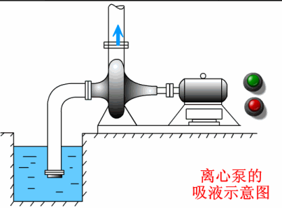 离心泵的吸液示意图.gif
