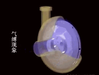 离心泵气缚现象.gif