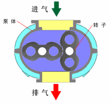罗茨真空泵工作原理.gif
