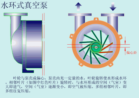 水环式真空泵工作原理.gif