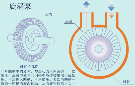 旋涡泵工作原理.gif