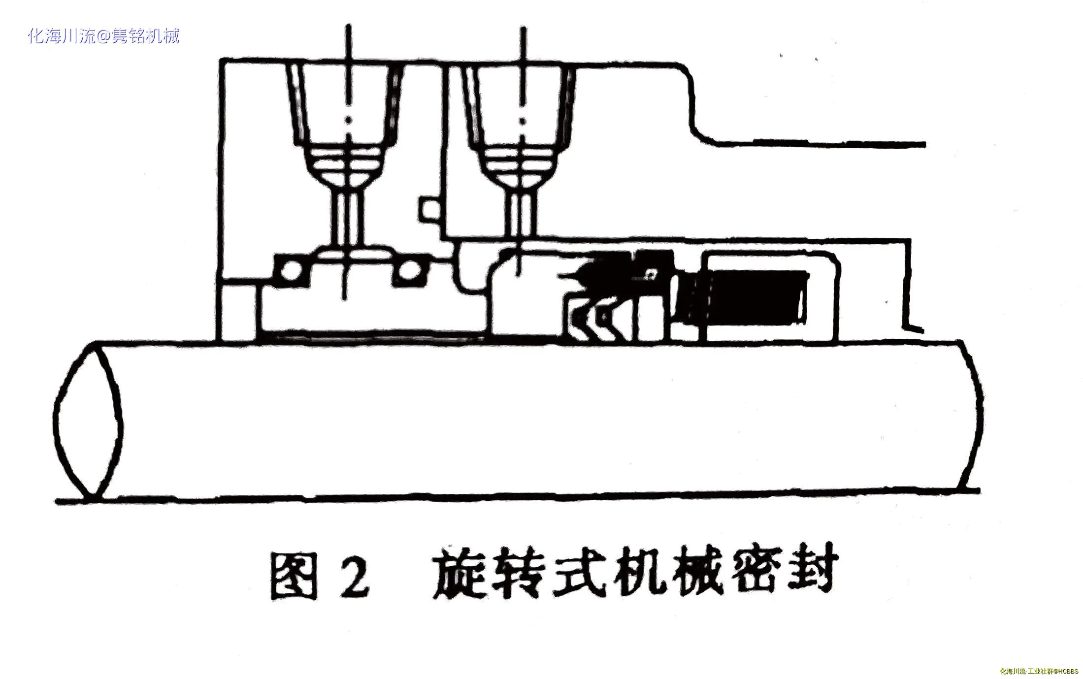 2.webp