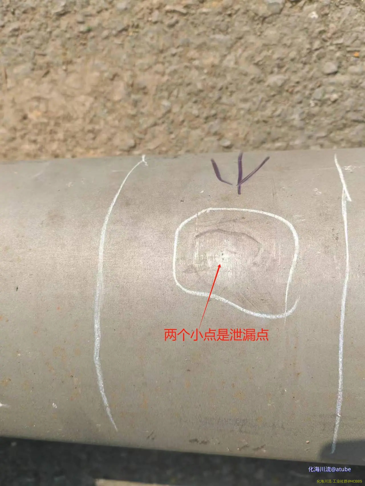 图片.webp