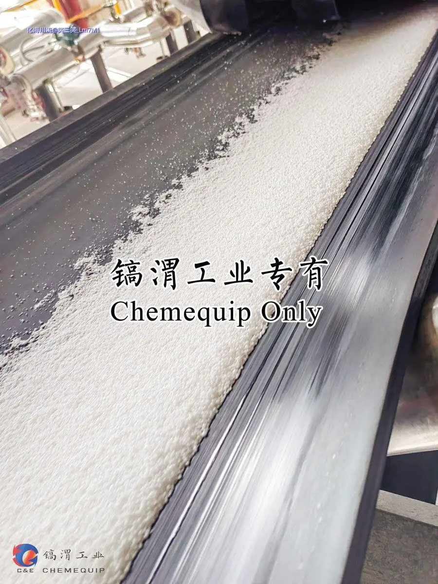 C1721新疆玉象胡杨化工项目-(7).webp