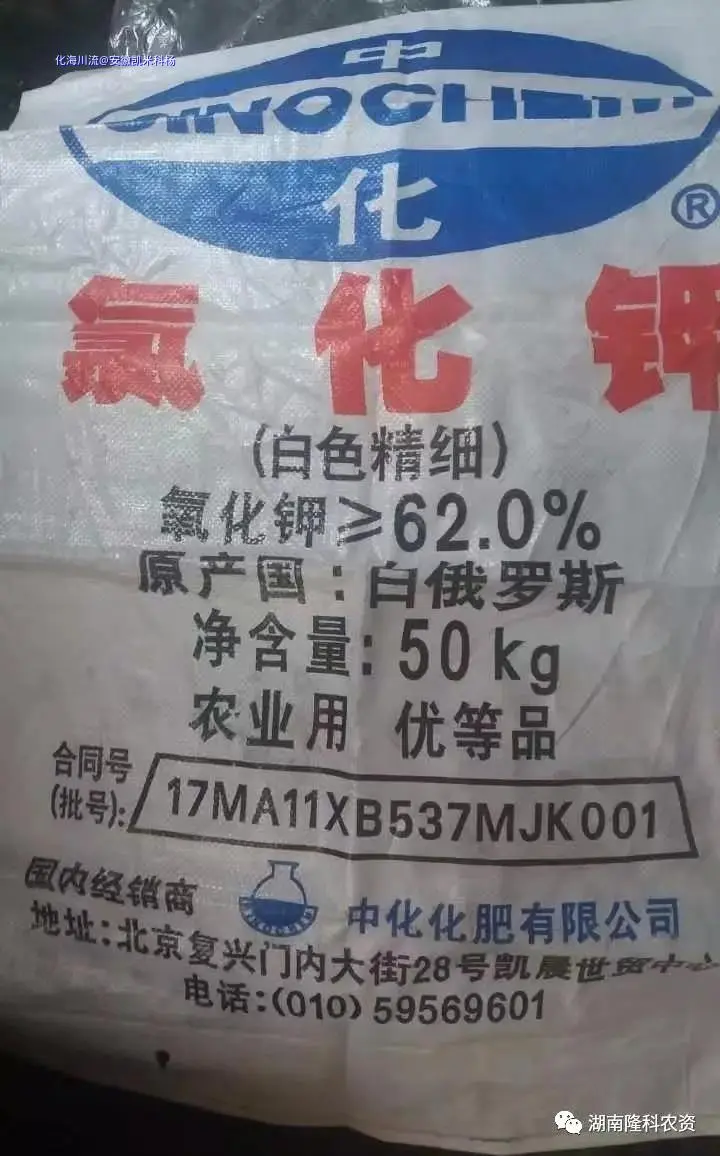 mmexport1715045759369.webp